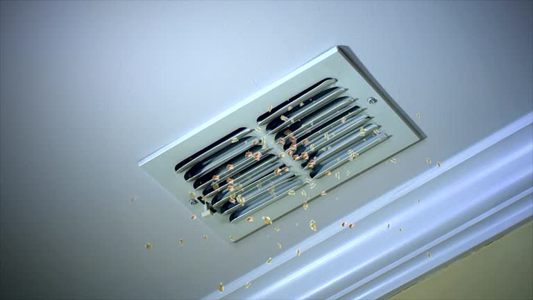 Best Home Air Vent Cleaning  in Miami, OK